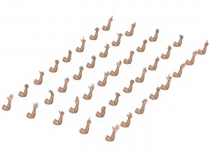 40 Hand Pose Collection 3D Model