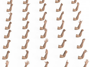40 Hand Pose Collection 3D Model