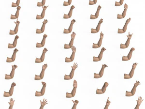 40 Hand Pose Collection 3D Model