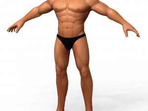 D&uuml;ş&uuml;k Poli Kaslı G&ouml;vde Tabanı Mesh 3D Model