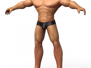 Male Base Mesh Modelo 3D