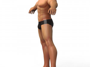 Male Base Mesh 3Dモデル