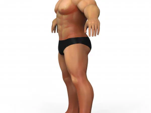 Hulk Body Base Mesh 3D Model