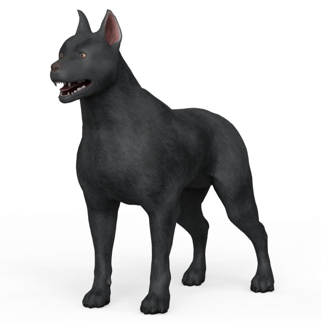 Black Dog Modelo 3D .c4d .max .obj .3ds .fbx .stl .blend 