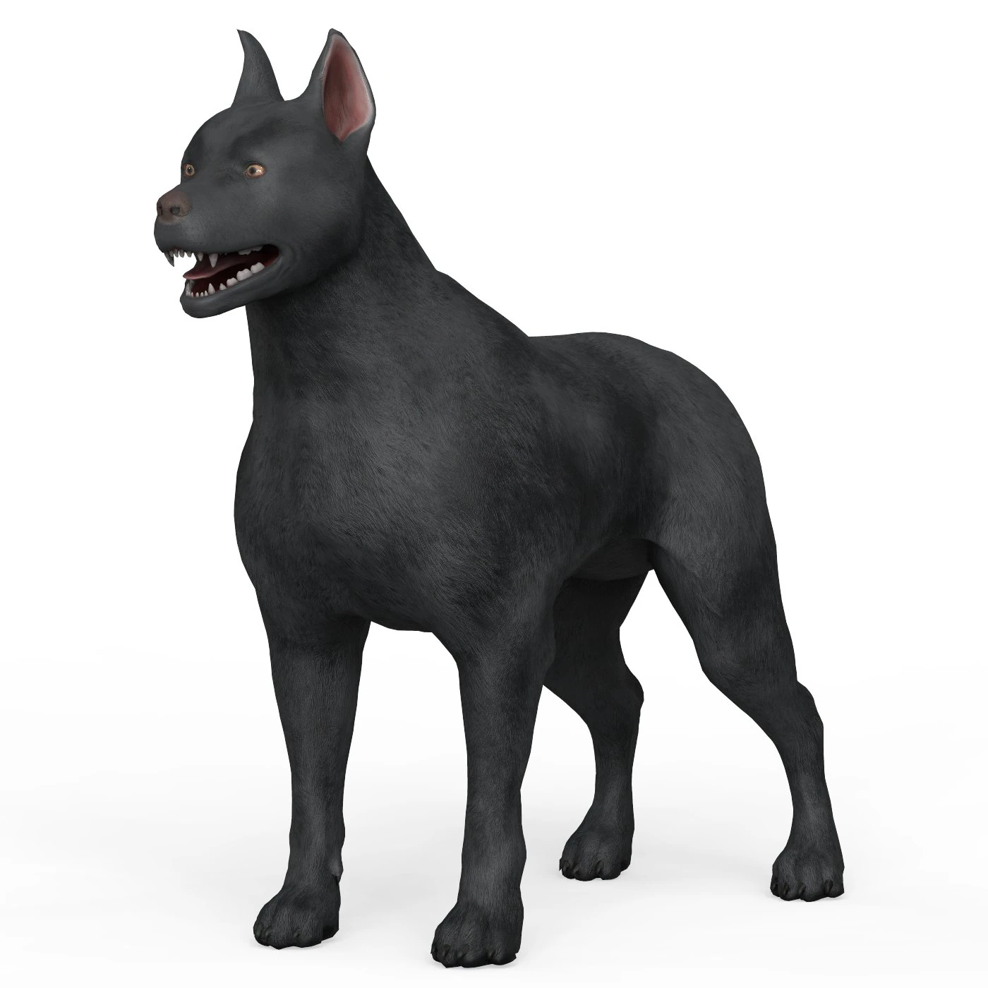 Black Dog 3D Model .c4d .max .obj .3ds .fbx .stl .blend 