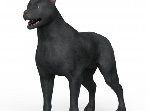 Black Dog Modelo 3D