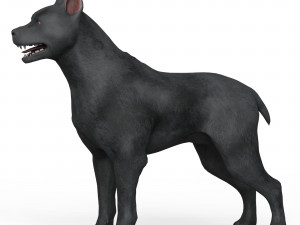 Black Dog Modelo 3D