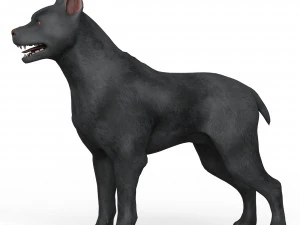 Black Dog 3D Model