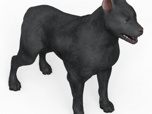 Black Dog Modelo 3D
