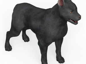 Black Dog 3D Model