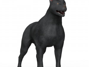 Black Dog Modelo 3D