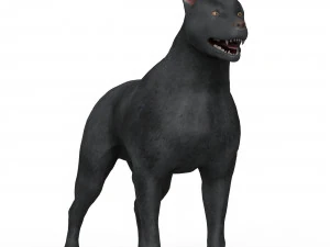 Black Dog 3D Model