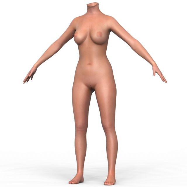 Female Body Base Mesh Modelo 3D in mulher 3DExport