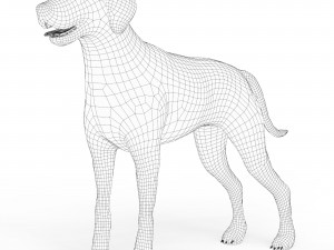 Brown Dog Model 3D
