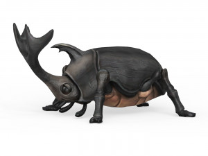 Rhino Beetle Model 3D