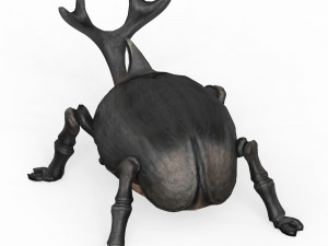 Rhino Beetle Model 3D