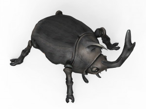 Rhino Beetle Model 3D