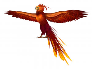 Fantasy Phoenix Eagle Modello 3D
