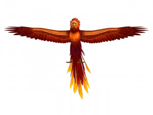 Fantasy Phoenix Eagle Modello 3D