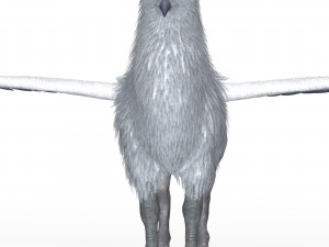Fantasy Hippogriff Modello 3D