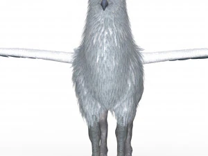 Fantasy Hippogriff 3D Model
