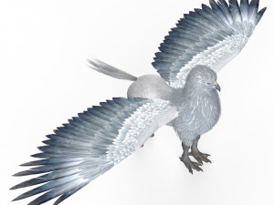 Fantasy Hippogriff Modello 3D