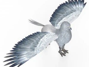 Fantasy Hippogriff 3D Model