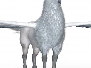 Fantasy Hippogriff 3D Model