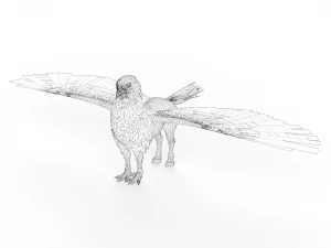 Fantasy Hippogriff 3D Model