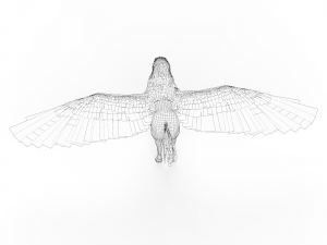 Fantasy Hippogriff Modello 3D