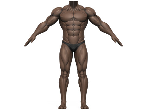 Muscular Body Base Mesh Modelo 3D