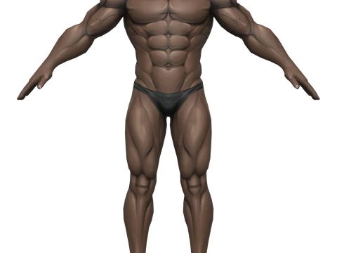 Muscular Body Base Mesh 3D Model