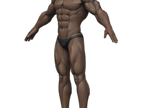 Muscular Body Base Mesh 3D Model