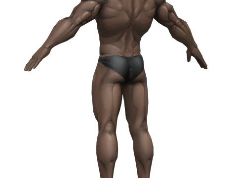 Muscular Body Base Mesh 3D Model