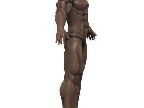 Muscular Body Base Mesh 3D Model