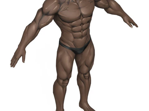 Muscular Body Base Mesh 3D Model