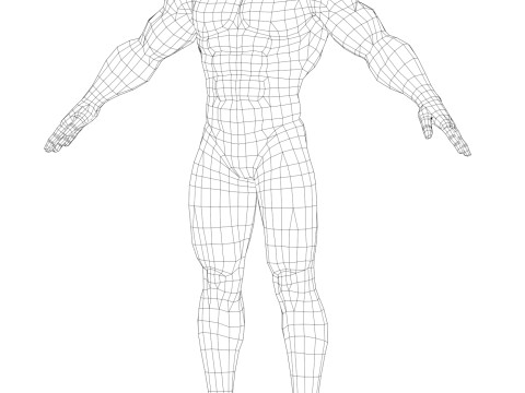 Muscular Body Base Mesh 3D मॉडल