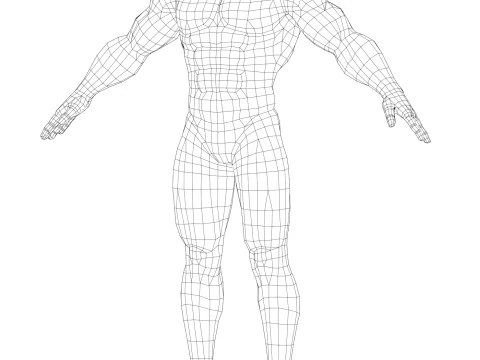 Muscular Body Base Mesh 3D Model