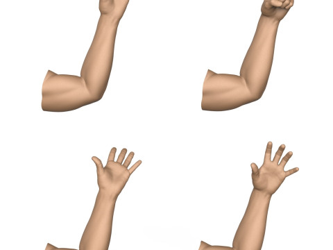 3D Print Ready 40 Man Hand Pose Collection 3D Print Model