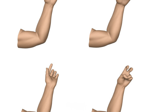 3D Print Ready 40 Man Hand Pose Collection 3D Print Model