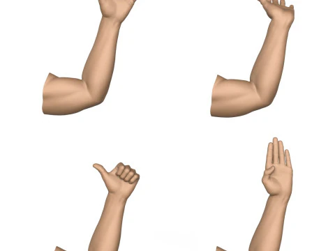 3D Print Ready 40 Man Hand Pose Collection 3D Print Model