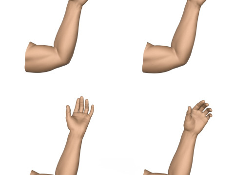 3D Print Ready 40 Man Hand Pose Collection 3D Print Model