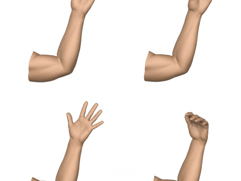 3D Print Ready 40 Man Hand Pose Collection 3D Print Model