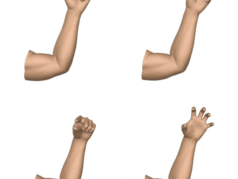 3D Print Ready 40 Man Hand Pose Collection 3D Print Model