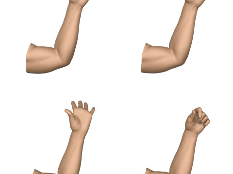 3D Print Ready 40 Man Hand Pose Collection 3D Print Model
