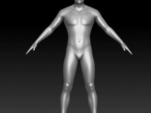 male caharacter 3D Model