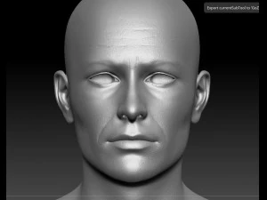 male caharacter 3D Model