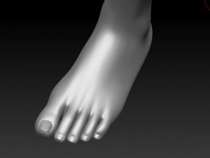 male caharacter 3D Model