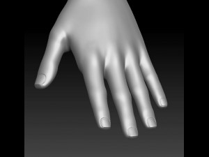 male caharacter 3D Model