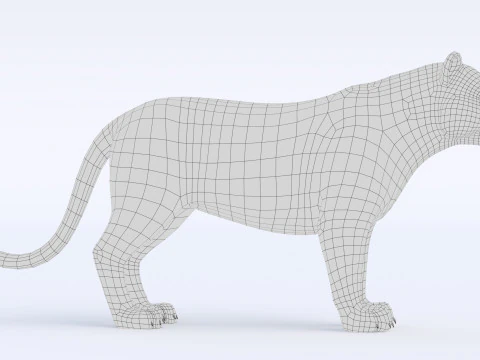 Cartoon Tiger 3D Model